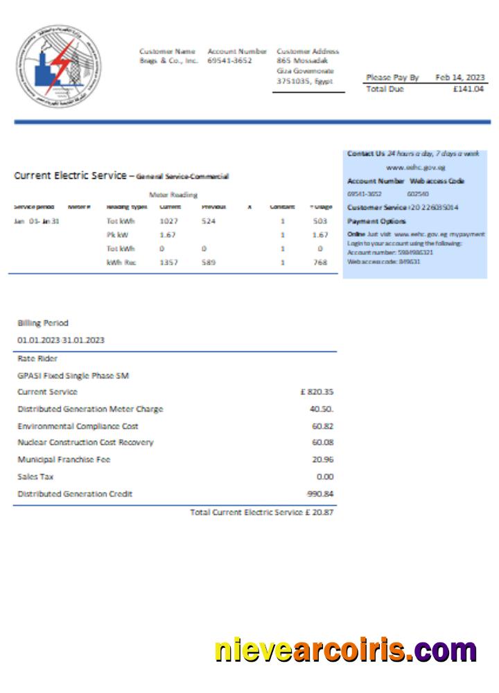 Egyptian Electricity utility business bill